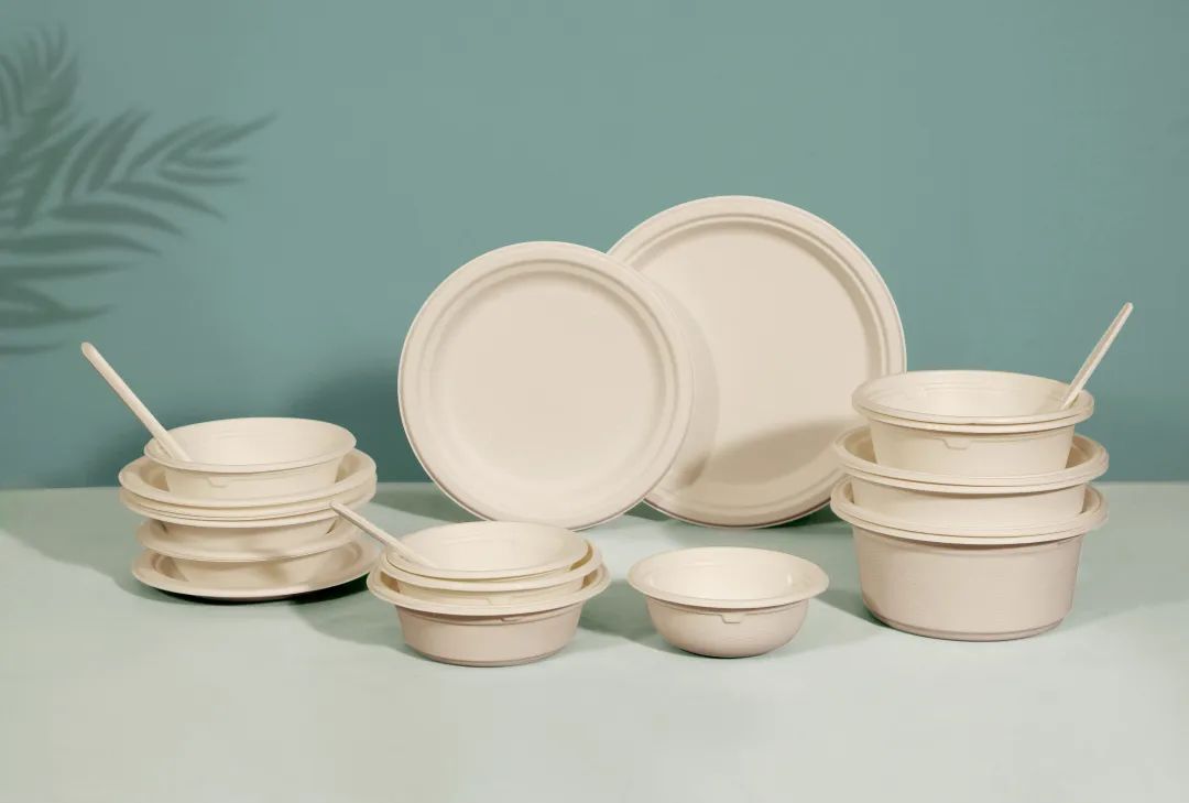 compostable cutlery bagasse